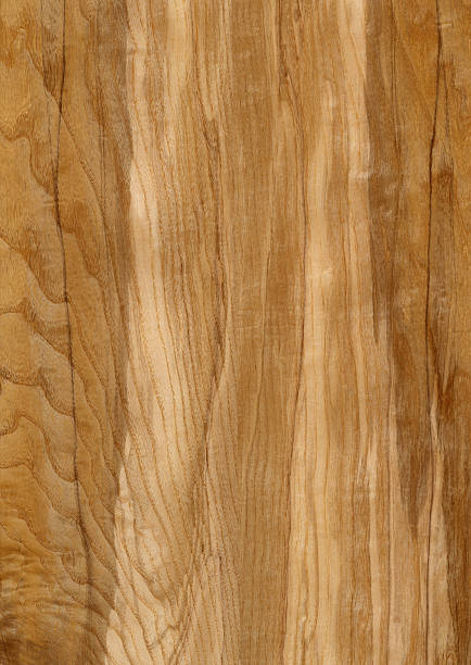 Olive wood grain background stock photo