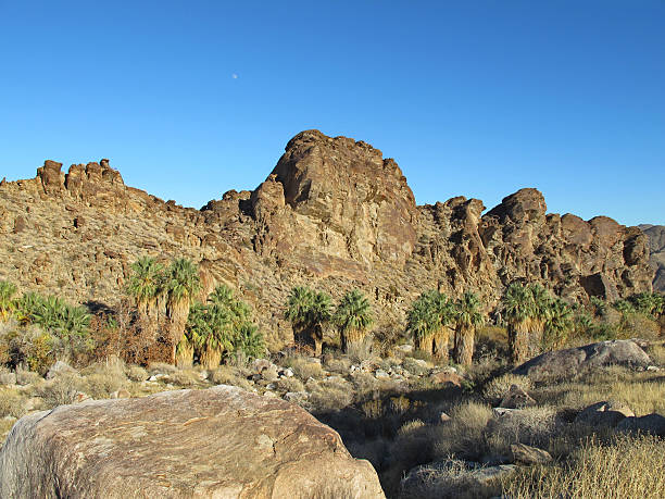 istock Indian Canyons hike near Palm Springs 185069403