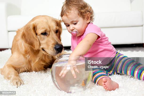 Ребенок И Собака Взять Золотая Рыбка — стоковые фотографии и другие картинки Играть - Играть, Младенец, Собака
