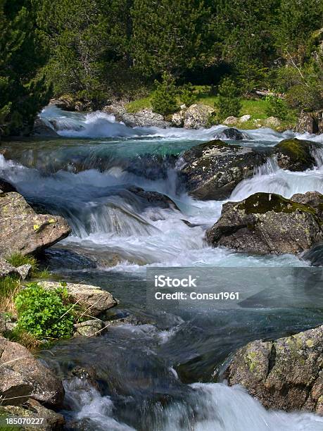 Al Río Foto de stock y más banco de imágenes de Agua - Agua, Aire libre, Arbusto