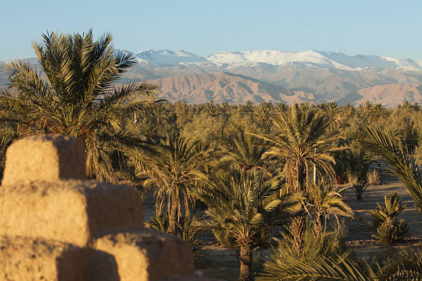 palme, montagne e kasbah - atlas foto e immagini stock