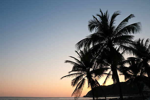 tramonto tropicale - acapulco mexico sunset day foto e immagini stock