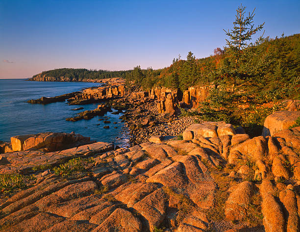 maine coastline- (p - mount desert island - fotografias e filmes do acervo