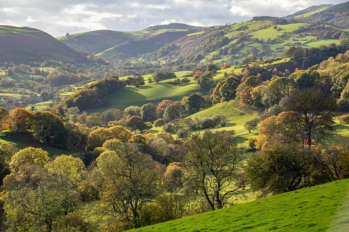 Rolling hills and valleys near Llanfyllin, Powys, Wales