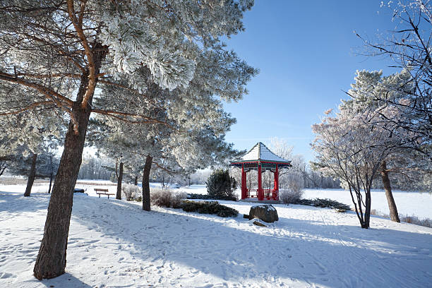 kings park winnipeg - manitoba prairie landscape canada foto e immagini stock