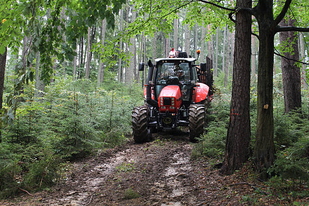 Forstwirtschaft Traktor – Foto