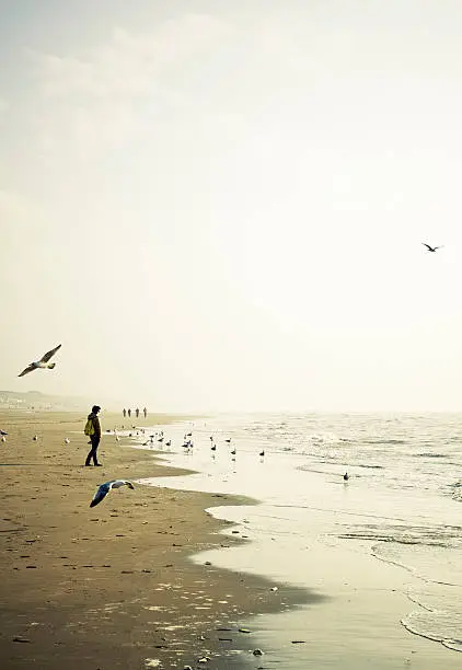 Photo of Lonely Woman Walking On The Seashore At Sunset