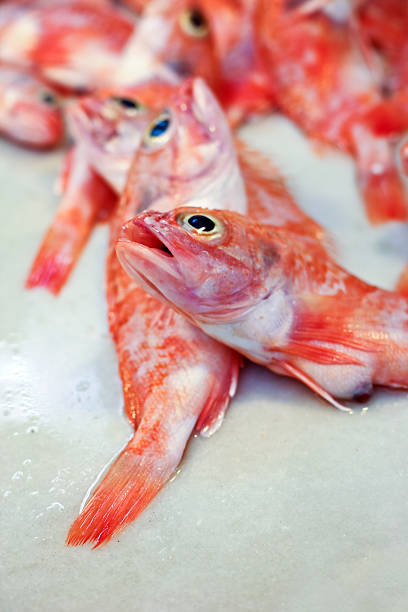 istock Red fish on a food market 185073191