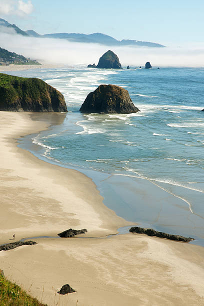 Looking down at coastline from nearby cliff. Haystack Rock in the distance.