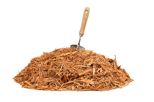 Gardening trowel digging in a pile of red cypress mulch. Isolated on white.Please also see: