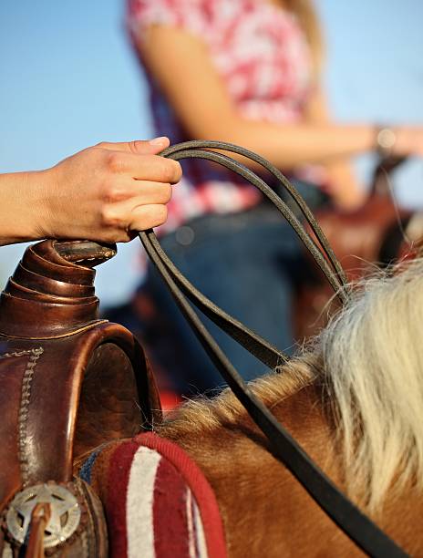 Hand holding bridle stock photo