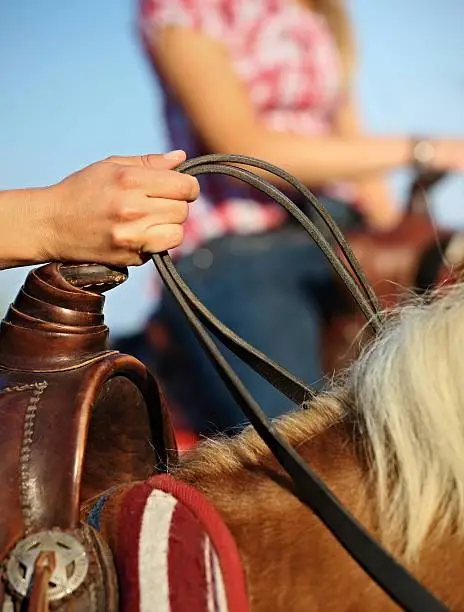 Photo of Hand holding bridle