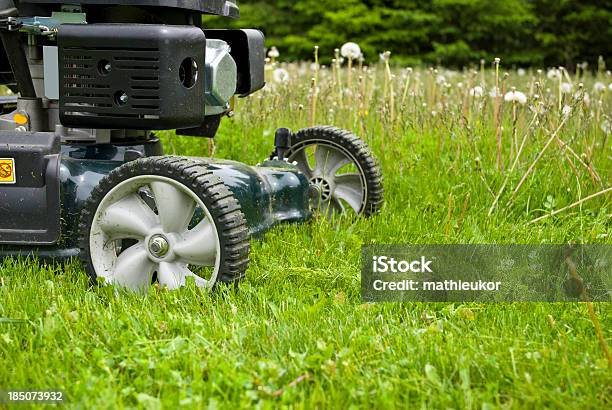 Falciare Il Prato - Fotografie stock e altre immagini di Accudire - Accudire, Ambientazione esterna, Attività