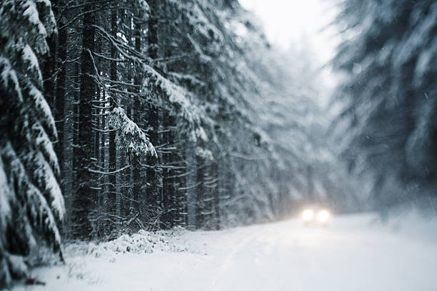 istock Vehicle on snowy forest road 185074096