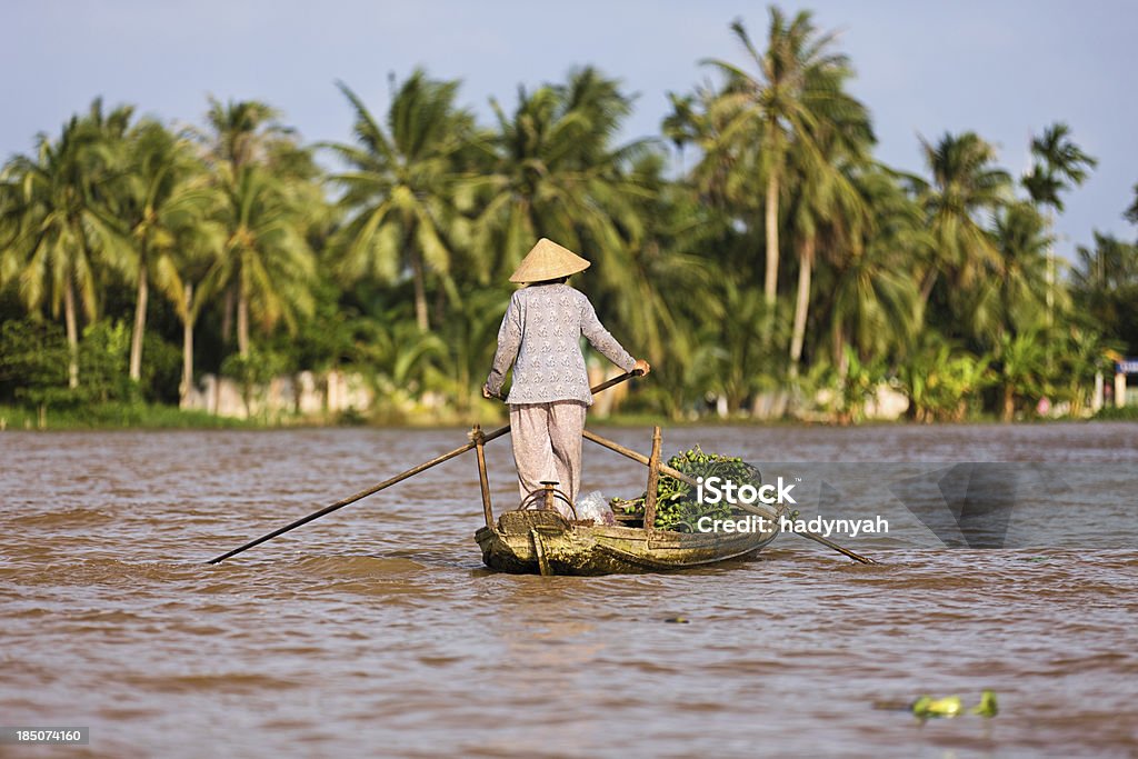 Vietnamese woman rowing  boat in the Mekong River Delta, Vietnam "Vietnamese fruits seller - woman rowing boat in the Mekong river delta & selling fruits, Vietnam." Active Lifestyle Stock Photo