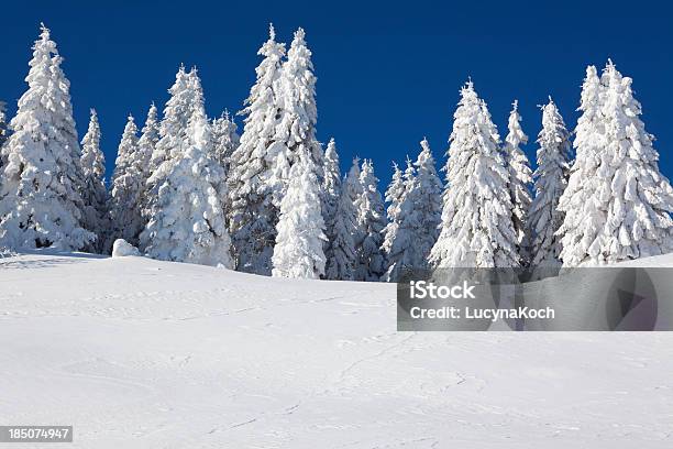 Bäume Im Schnee Bedeckt Stockfoto und mehr Bilder von Schnee - Schnee, Baum, Winter