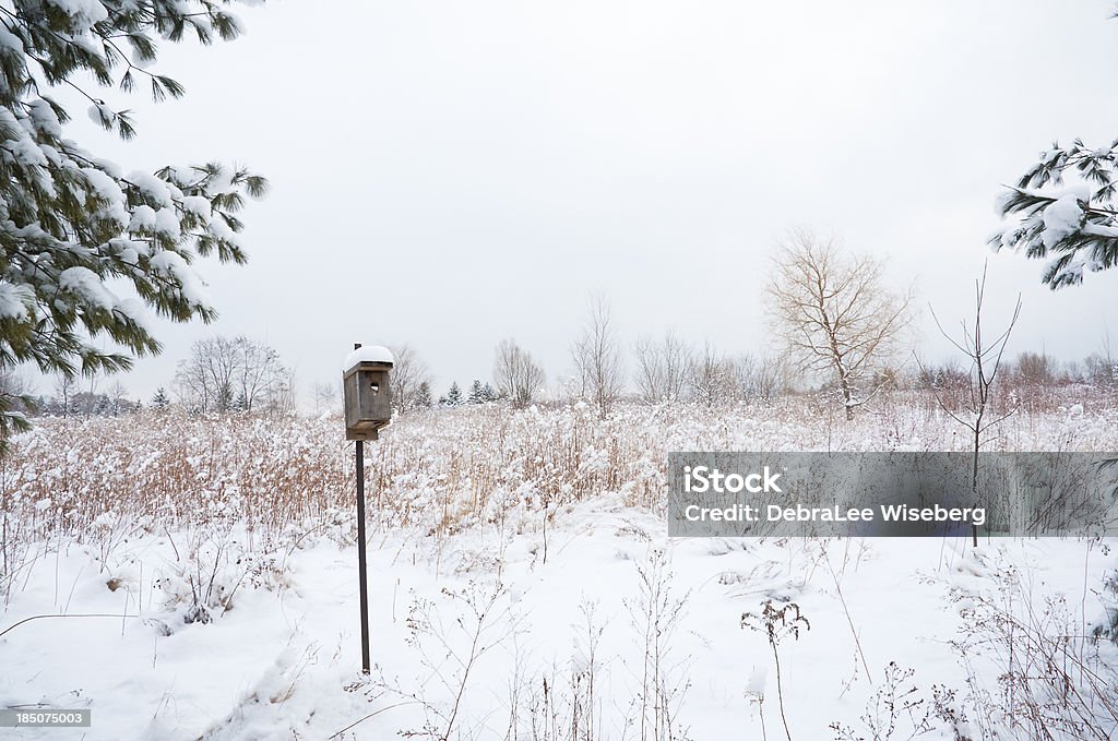 Cabane à oiseaux - Photo de Absence libre de droits