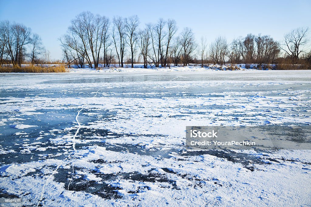 Río en hielo - Foto de stock de Arbolado libre de derechos