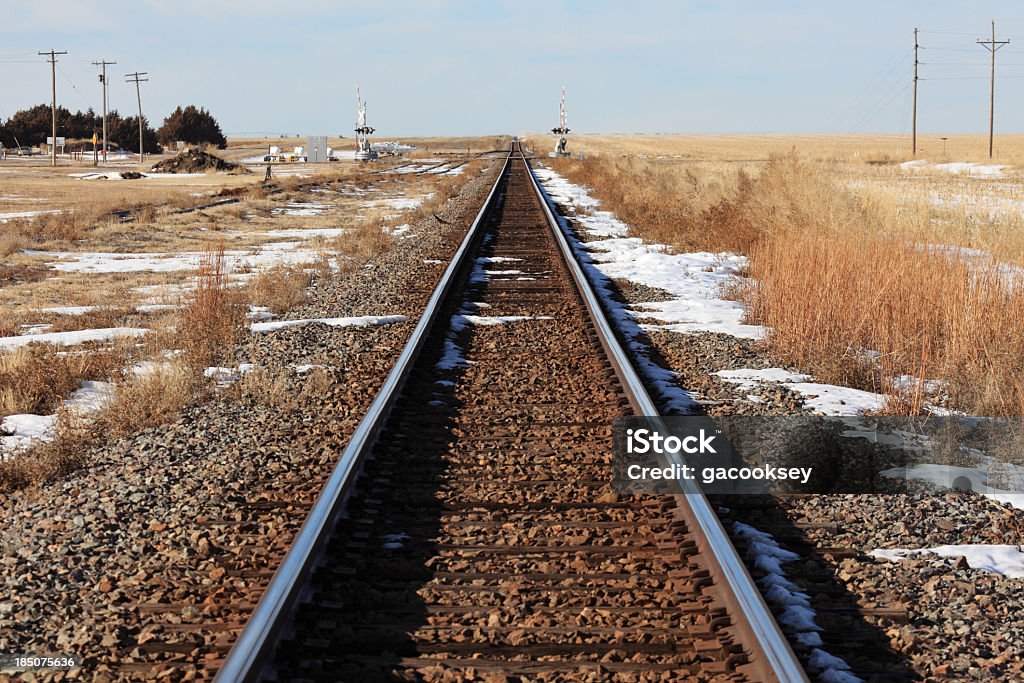 Rurale ferrovia invernale - Foto stock royalty-free di Agricoltura