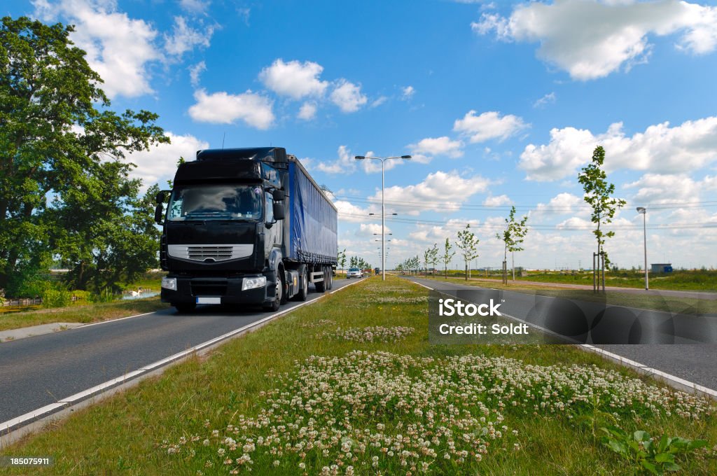 S'approcher camion en néerlandais paysage - Photo de Accotement herbeux libre de droits