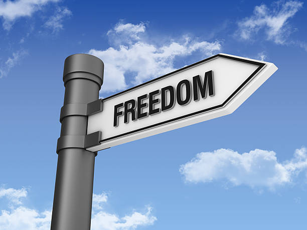 istock Directional Sign with FREEDOM Word and Sky 185075965