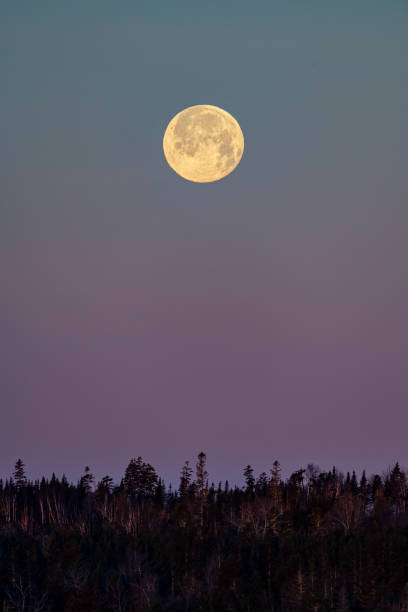 istock Full Moon in blue and purple morning sky 1850761305