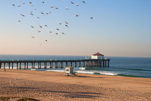 istock Manhattan Beach Pier with Seagulls 185076964