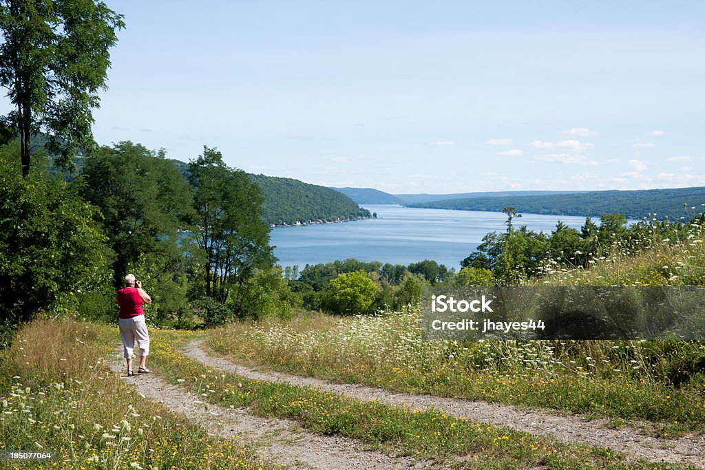 Taking a picture of Lake Keuka A tourist photographs Keuka Lake from field road lined with Queen Ann's Lace Lake Keuka Stock Photo