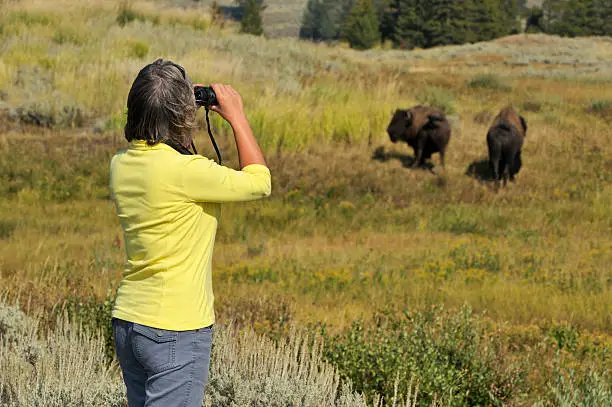 Photo of Watching wildlife