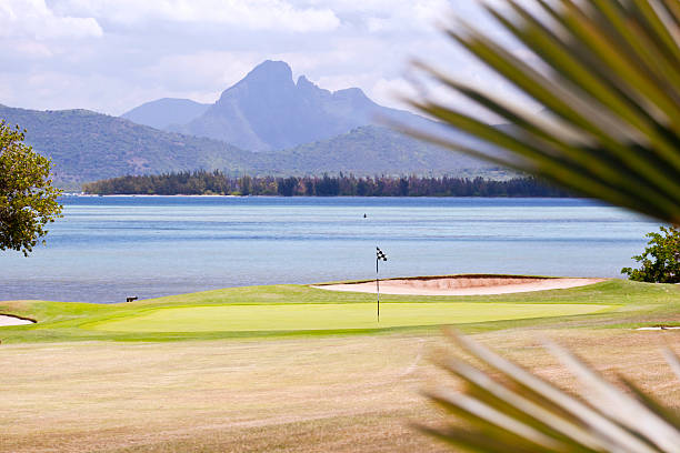 golf w mauritius - palm people white brown zdjęcia i obrazy z banku zdjęć