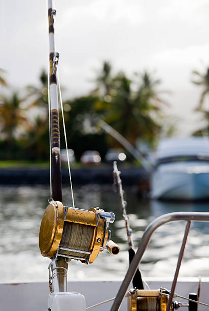 impostazione per pesca d'altura - pesca daltura foto e immagini stock