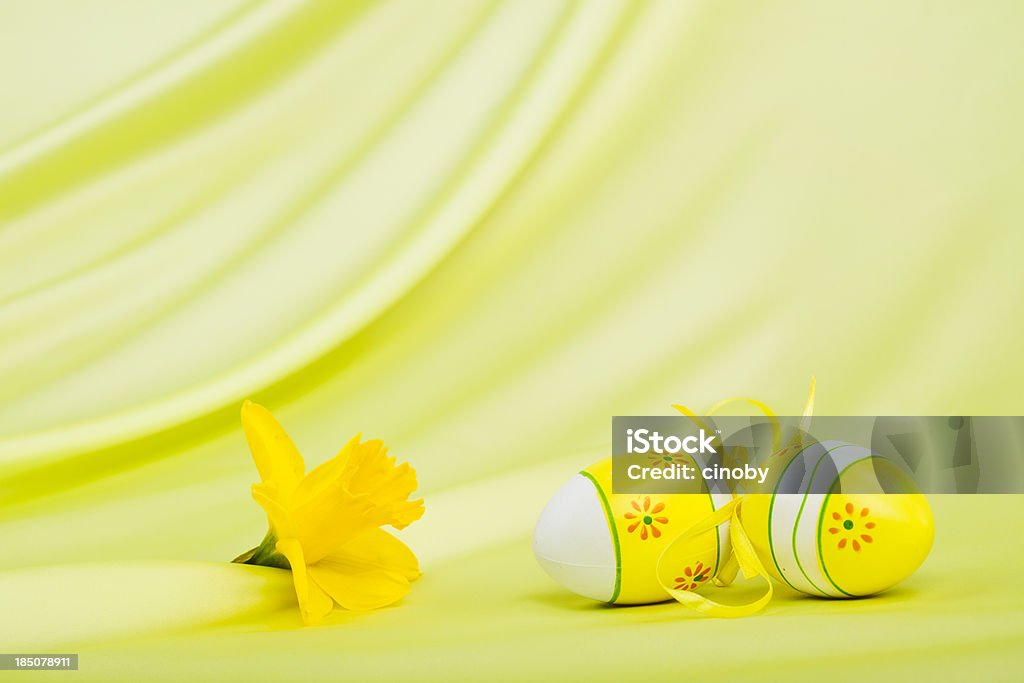 Yellow Easter Eggs and Daffodils Bloom easter eggs and daffodils bloom on satin yellow-green background Animal Egg Stock Photo