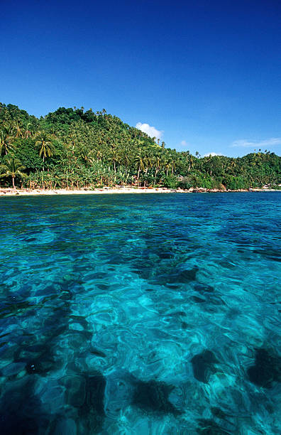 Malcapuya Island beach, Philippines