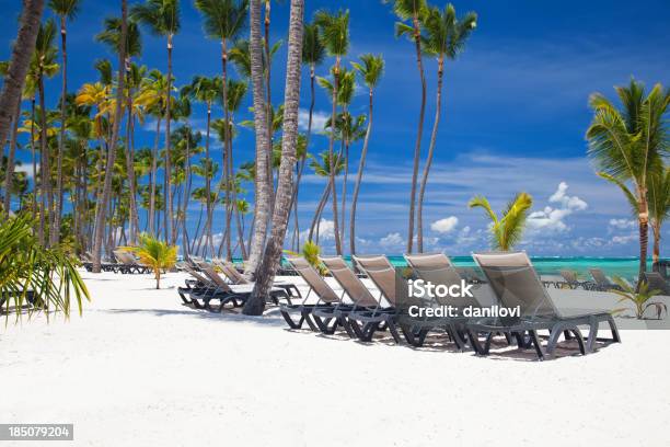 Praia Bavaro Em Punta Cana - Fotografias de stock e mais imagens de Punta Cana - Punta Cana, Praia, Empreendimento Turístico