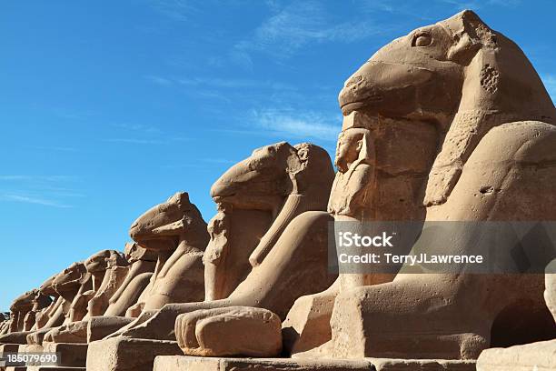 Photo libre de droit de Cryosphinxes Temple De Karnak À Louxor Égypte banque d'images et plus d'images libres de droit de Afrique - Afrique, Amon, Antique