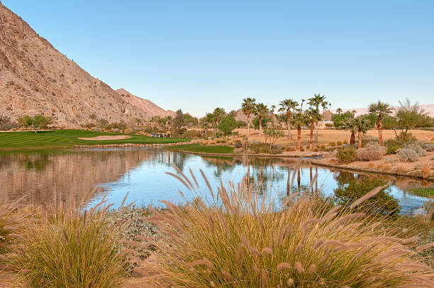 istock Lush green golf course in the Palm Springs desert 185079879