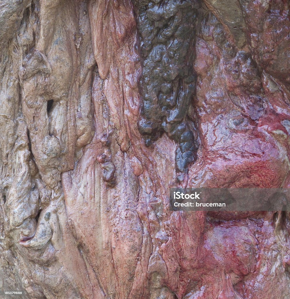 Rotten carne - Foto de stock de Apodrecer royalty-free