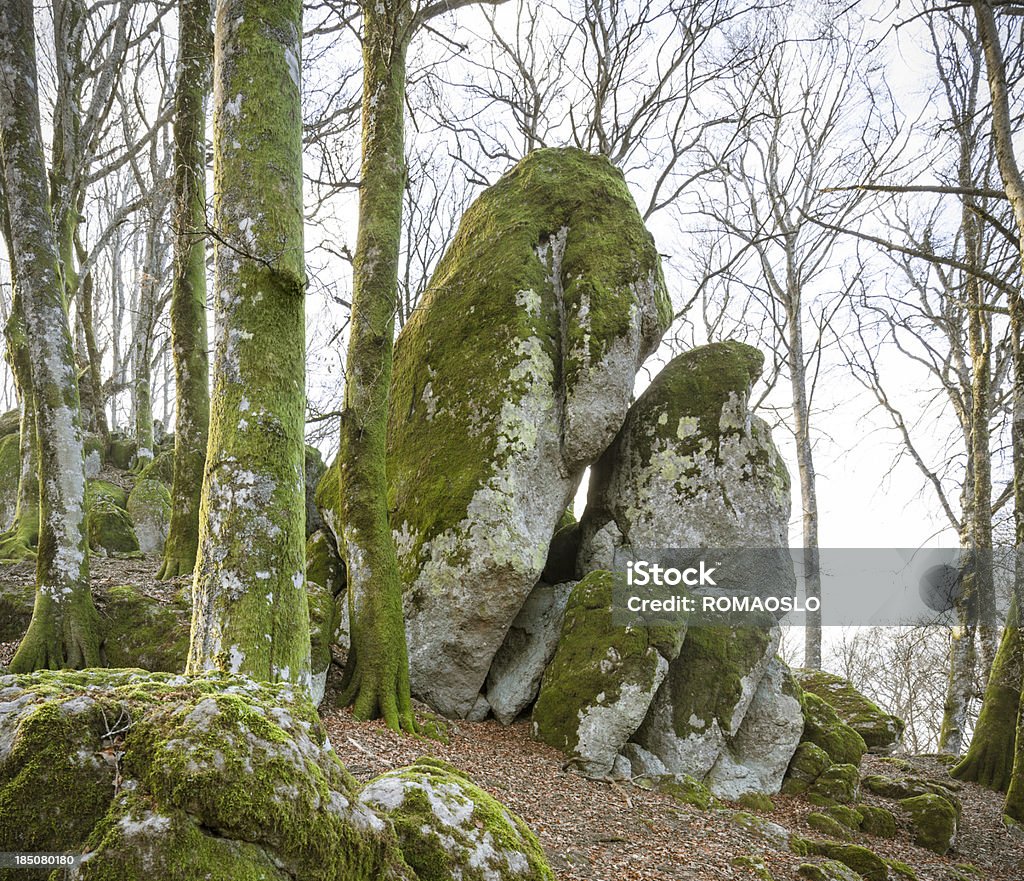 Moss coberto de rochas gigantes, Monte Cimino, Província de Viterbo, Lazio, Itália - Foto de stock de Cultura Italiana royalty-free