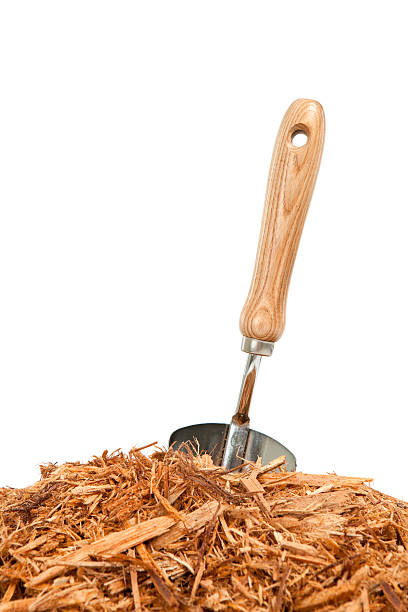istock Garden Trowel in Mulch 185080272