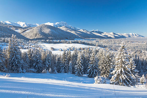 winter landschaft der tatra-gebirge - poland mountain tatra mountains giewont stock-fotos und bilder