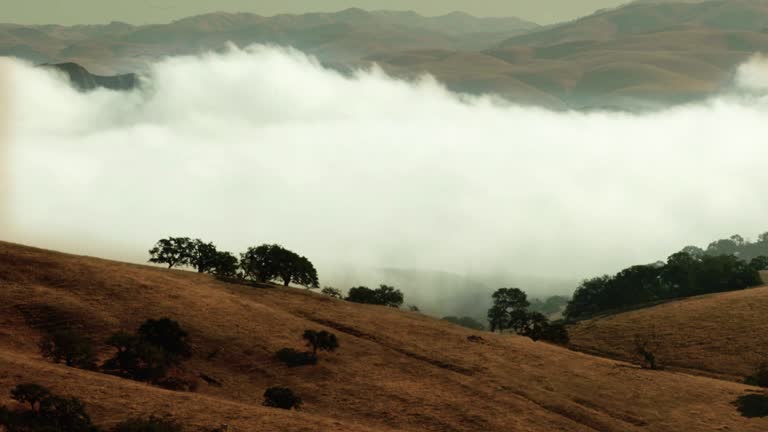 Clouds in the mountains. The fog is moving rapidly through the mountain valley stock video