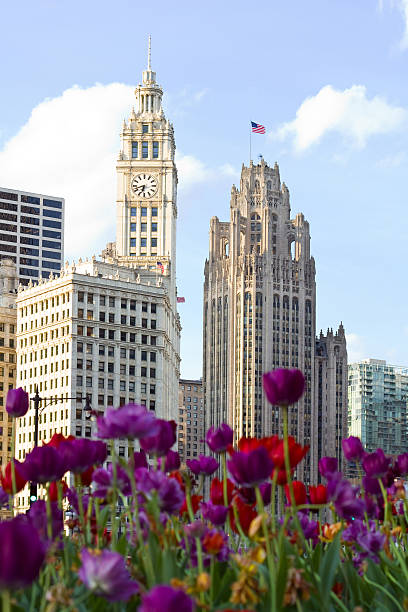 istock Chicago, Illinois, USA 185080543