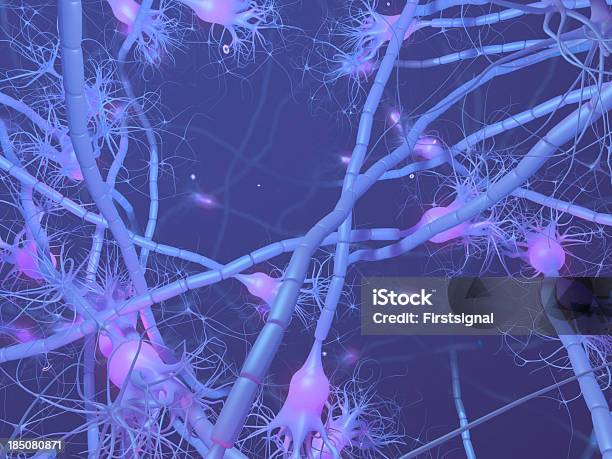 Активный Neurone — стоковые фотографии и другие картинки Purkinje Neuron - Purkinje Neuron, Аксон, Анатомия