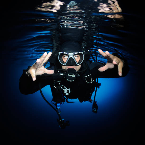 istock No Fear Of Diving 185080909