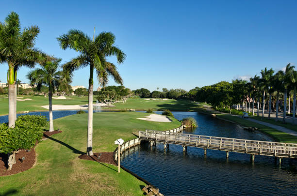 Florida Golf Resort stock photo