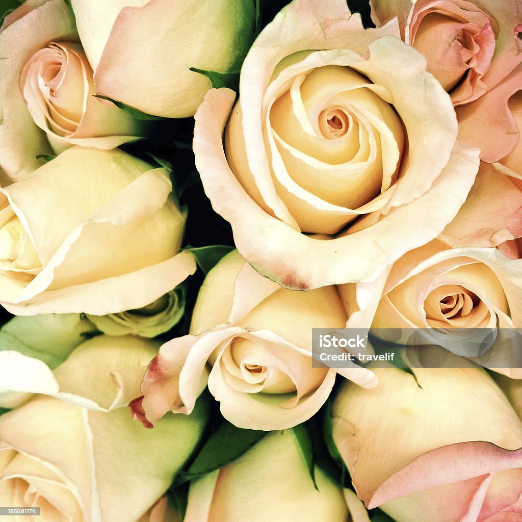 Plein cadre bouquet de roses vintage-cross traitées - Photo de Amour libre de droits