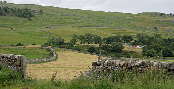 istock Agriculture in Rural England 185081211
