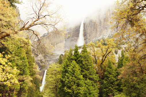 Yosemite Park waterfall in spring through trees