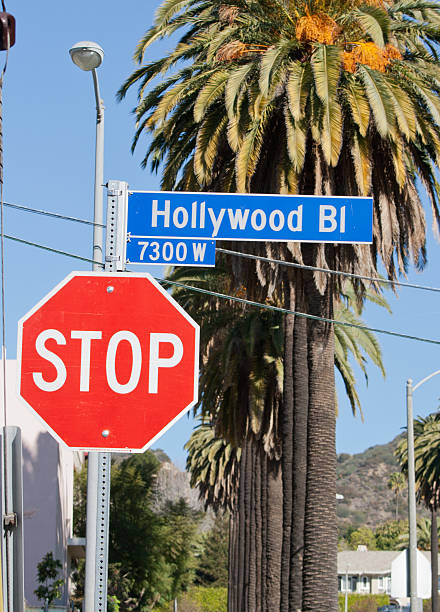istock Hollywood Blvd. Street Sign 185081636