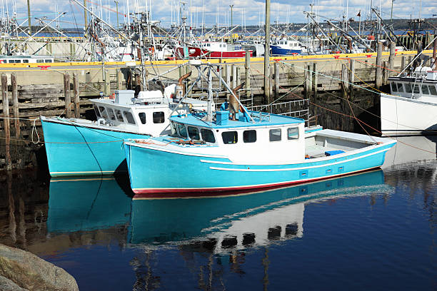 istock Boats tied to a pier 185081697